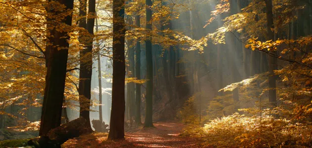 ecocenter-land-631-new.jpg