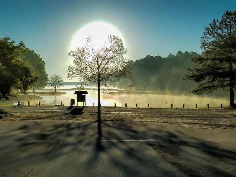 Shamrock Lake with morning mist Smithsonian Photo Contest