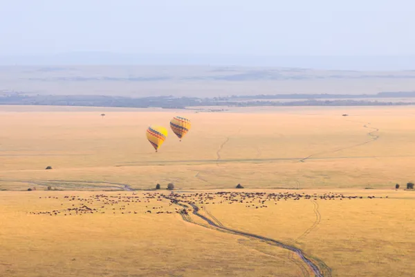 Aerial walk at dawn thumbnail