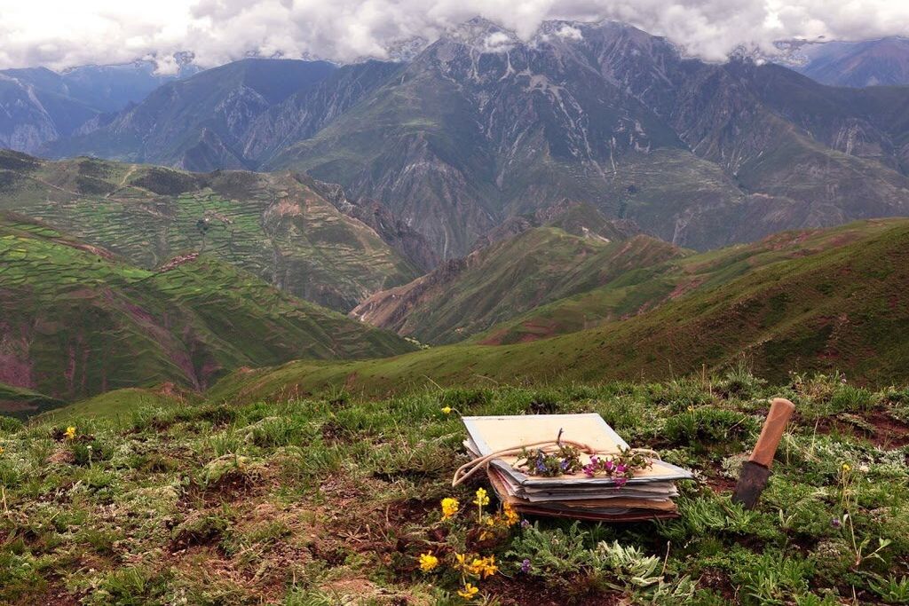 A plant press in the foreground, with a scenic view of mountains and meadows in the background