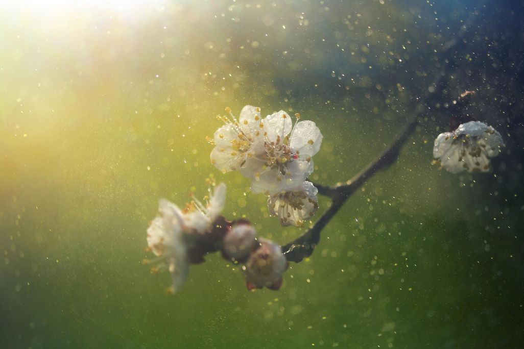 iStock-468417638.jpg