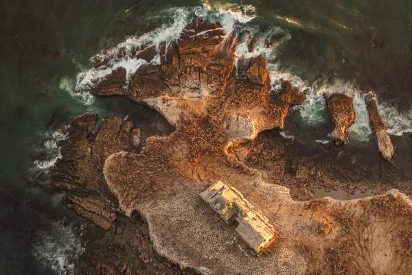 Siege of the Island thumbnail