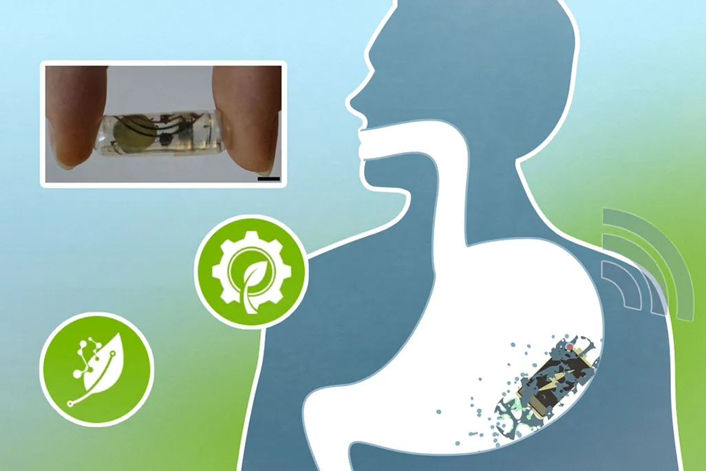 illustration of battery inside stomach