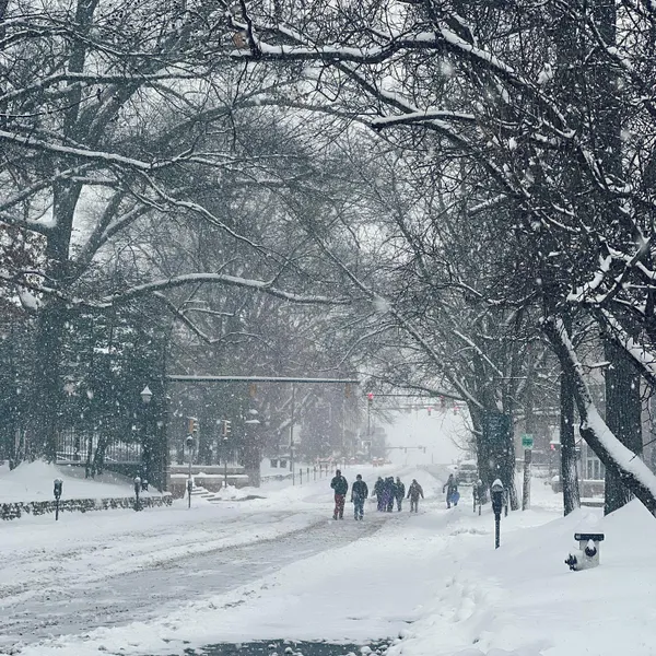 Trek Through the Blizzard thumbnail