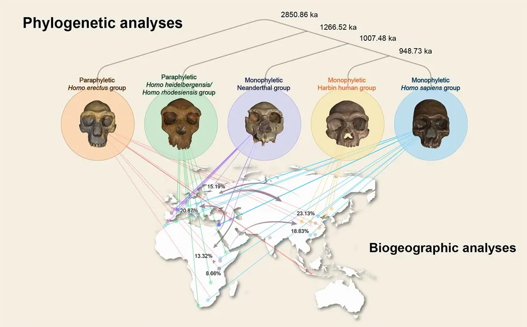 Biogeographic Model of Human Variation