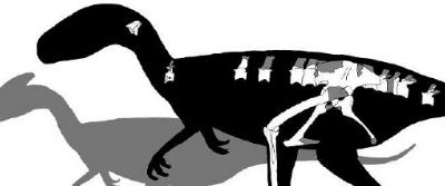 The known skeleton of Juratyrant (black outline) compared to the dinosaur Guanlong for size. The scale bar is one meter.