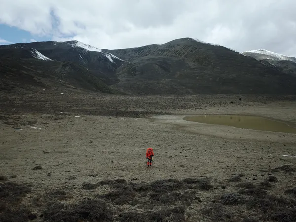 Strength in Frailty thumbnail