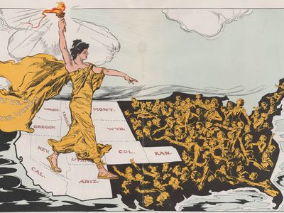 votes for women cartoon
