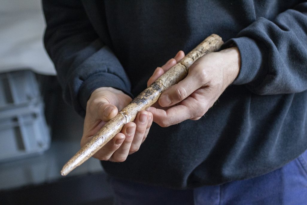 Person's hands holding projectile tool made of whale bone