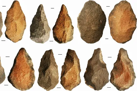 Early humans made stone tools out of whichever rocks happened to be lying nearby, ignoring quality in favor of convenience