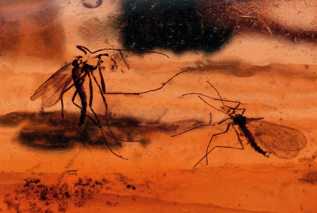 Jurassic Park's Unlikely Symbiosis With Real-World Science ...