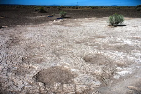 Thousands of years ago, a herd of Columbian mammoths trudged across present-day Oregon to an ancient lake, recording their interactions in the muddy sediments.