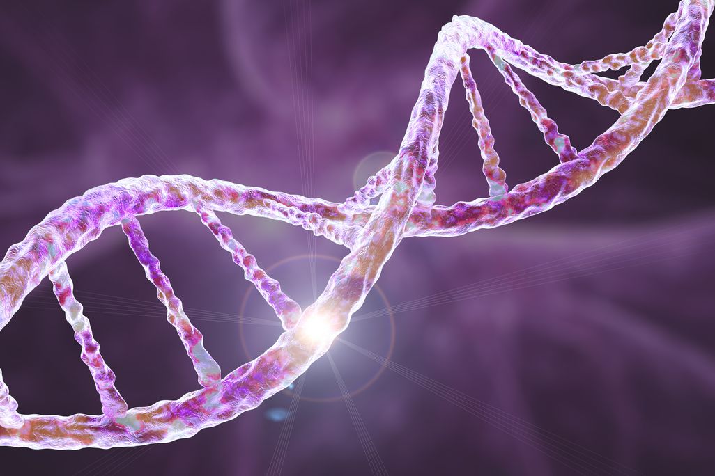 a molecule of DNA
