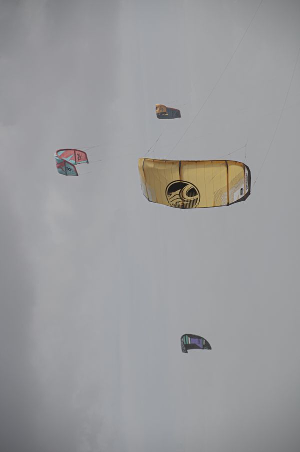 Kites in the Grey Sky thumbnail