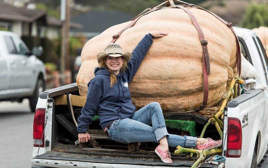 giant-PUMPKIN1016.jpg