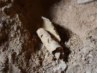 Archeologists found this piece of parchment rolled up in a jug in a cave on the cliffs west of Qumran.