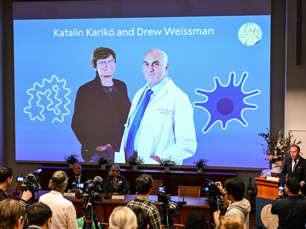 A screen with a picture of the Nobel laureates behind a panel making the announcement