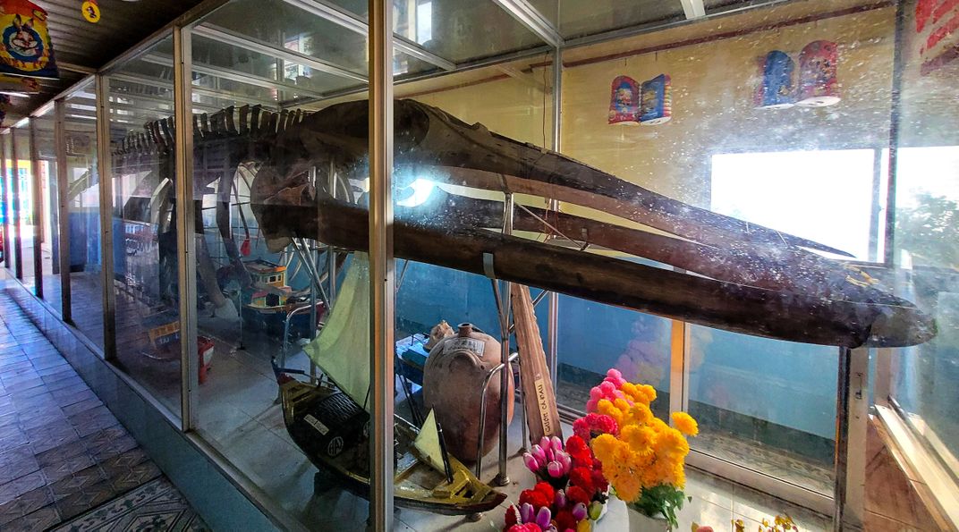 Inside Vietnam's Whale Temples