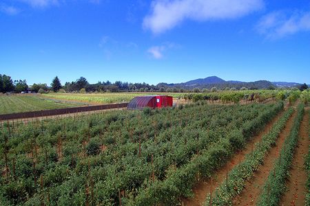 A Farm From a Box is capable of feeding 150 people.