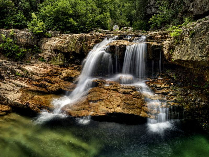 Taken in St. Mary's Wilderness, Virginia, USA. | Smithsonian Photo ...