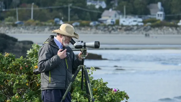 The Old Man and the Sea thumbnail