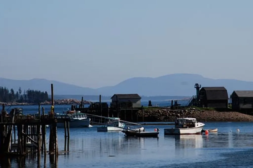 Lunt Harbor