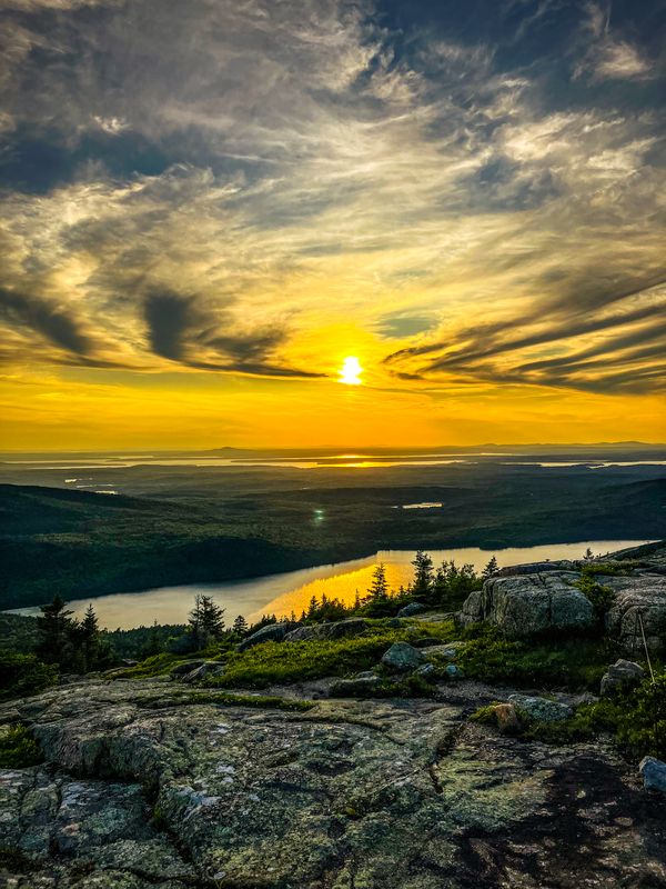 The Wings of Dusk thumbnail