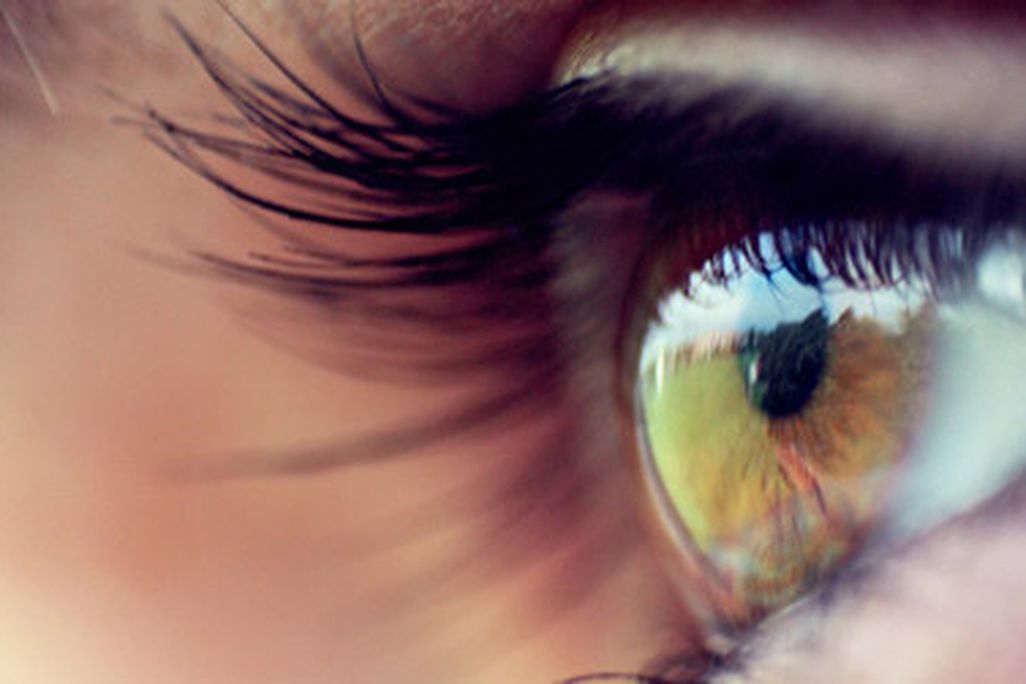What can eye-tracking teach us?