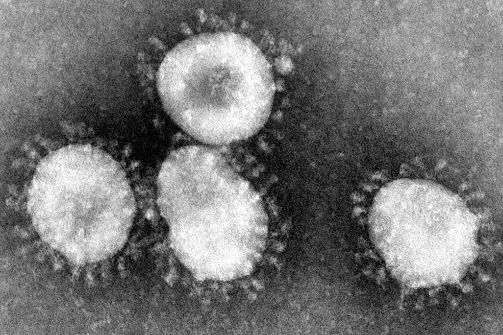 Coronaviruses_004_lores.jpg