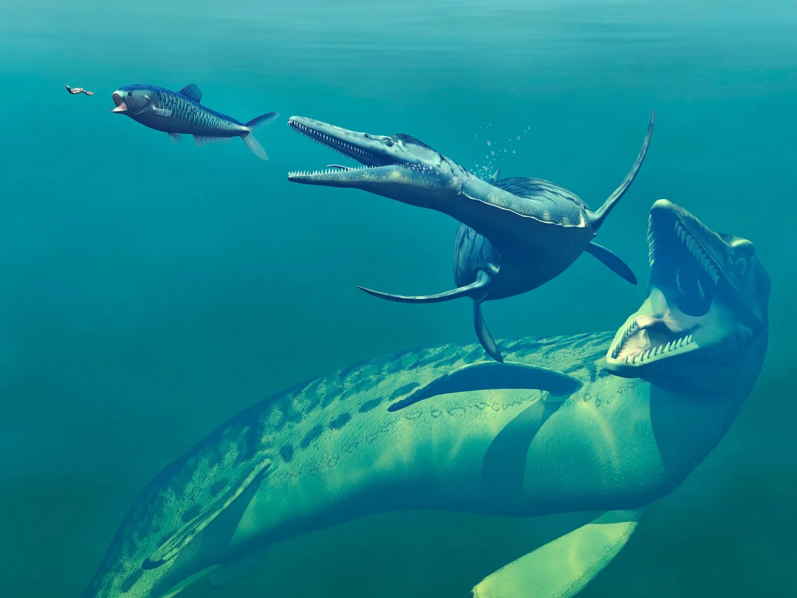 Водные динозавры. Доисторические морские обитатели. Водные хищники. Тилозавры.