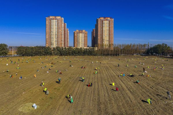 《Gathering Autumn》 thumbnail