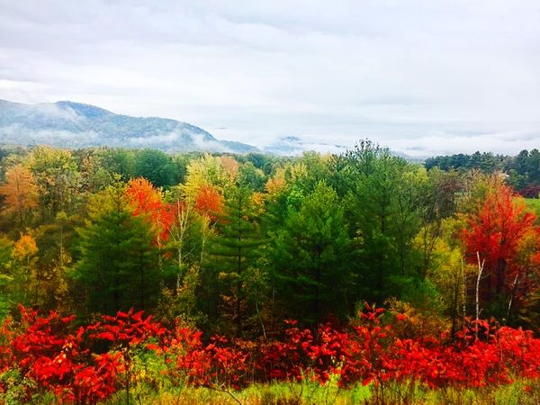 North Conway Scenic Overlook thumbnail