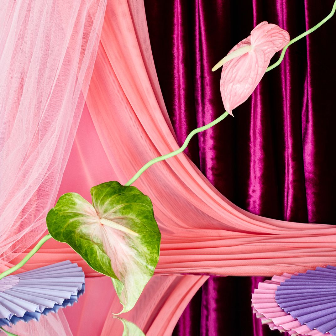 Still Life With Anthurium Flowers | Smithsonian Photo Contest ...