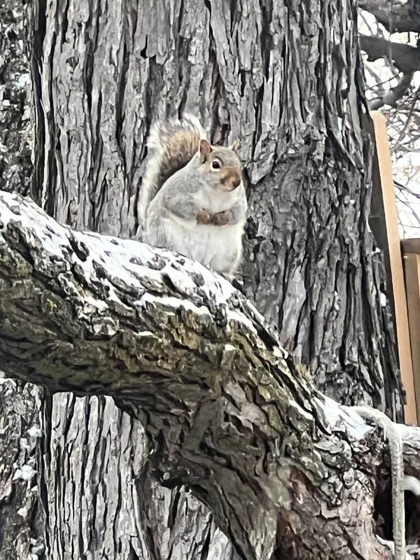 Natures little treats thumbnail