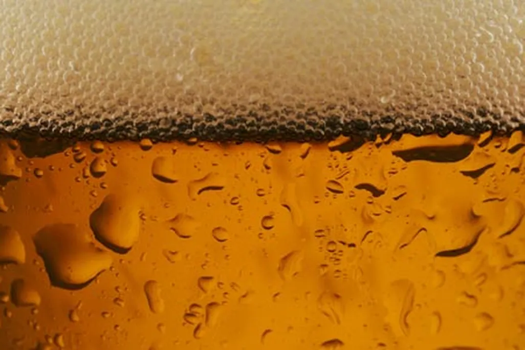 beer_631.jpg