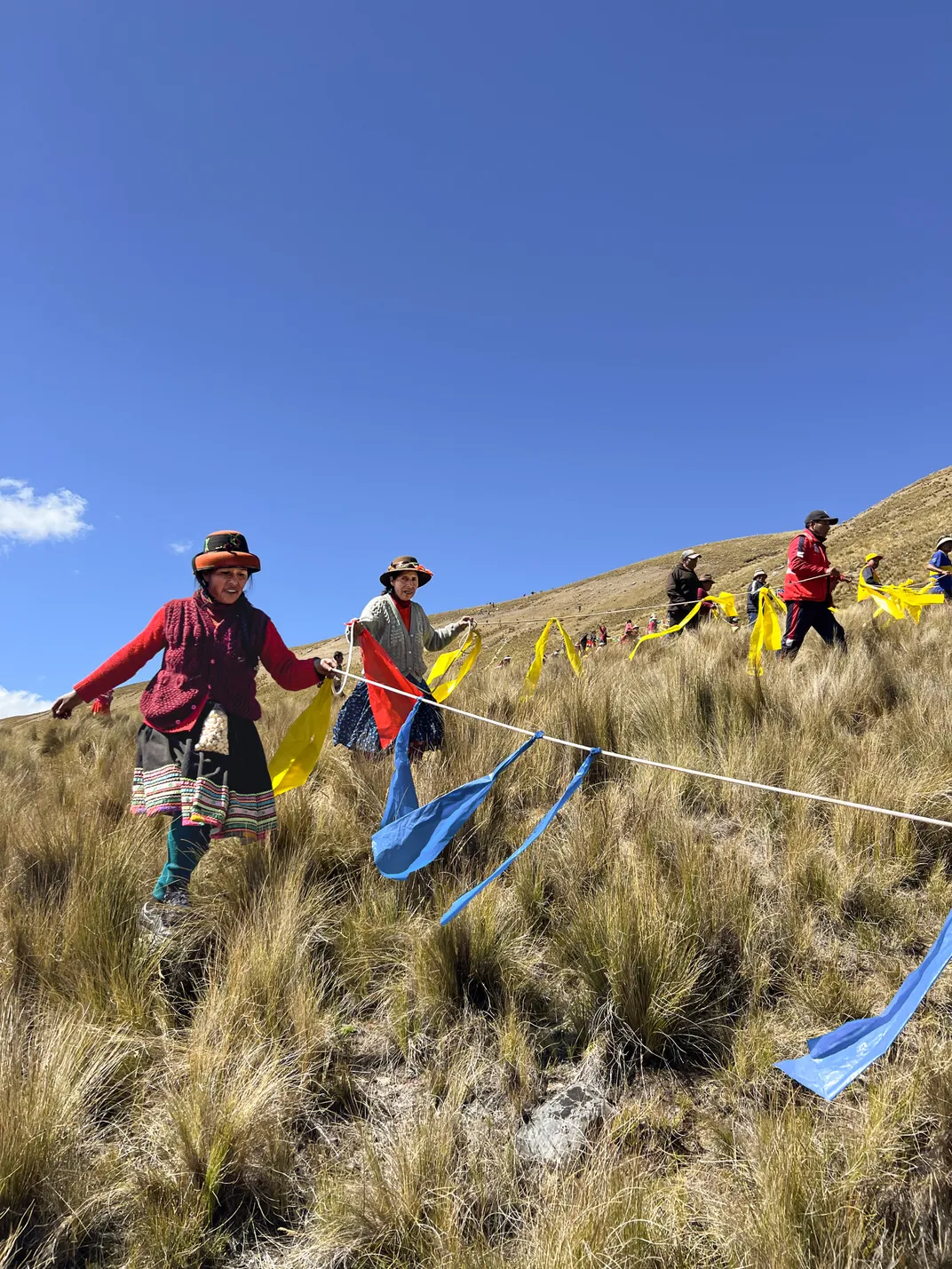 chaccu in Peru