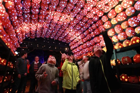 Stars shine above in the form a planetarium made of hand-carved jack o'lanterns.