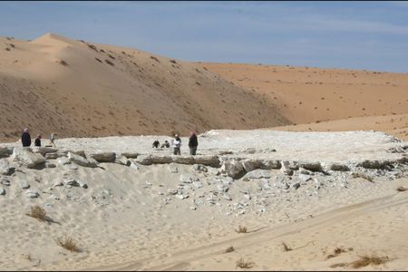 Researchers identified seven prehistoric human footprints at Alathar, a dried-up lake bed in Saudi Arabia.