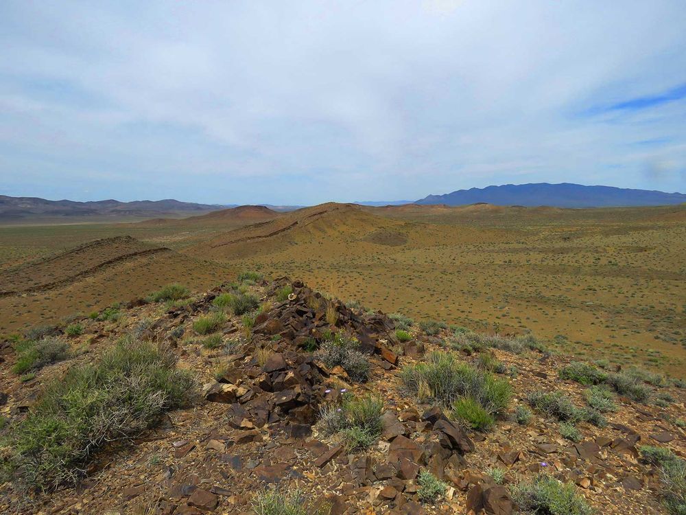 Ancient Reefs in Nevada Mountains