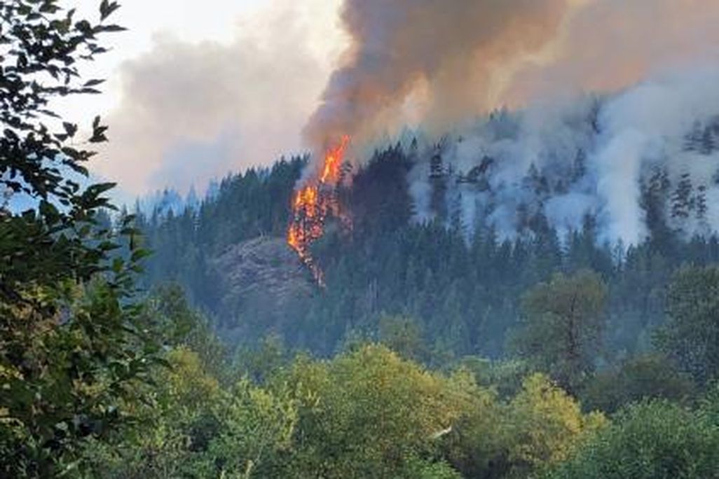 The Maple Fire