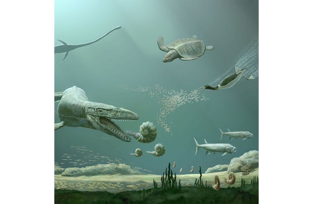 Cretaceous Marine Tetrapod Assemblage