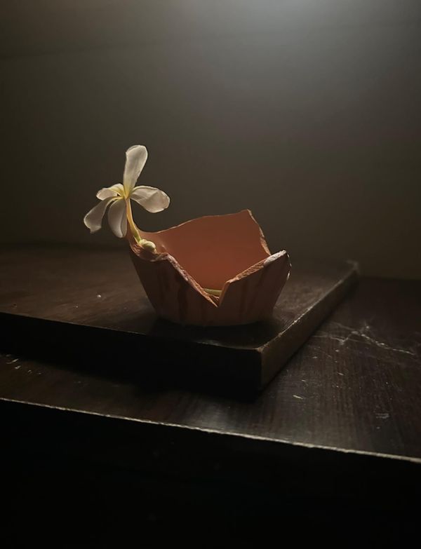 A blooming flower thumbnail