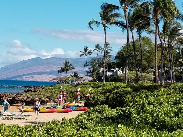 Maui Kayaks thumbnail