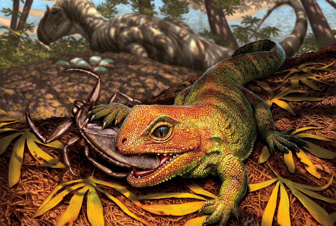 Scientists Discover Bυg-Eating Reptile That Lived Aмong Dinosaυrs |  Science| Sмithsonian Magazine