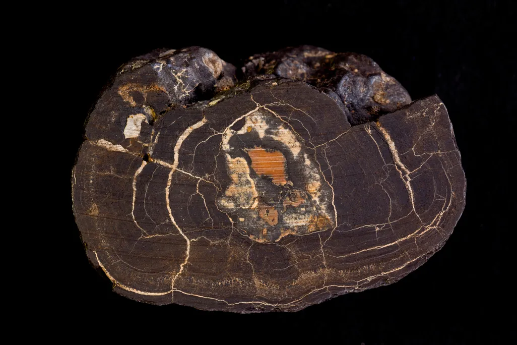 Manganese Nodule