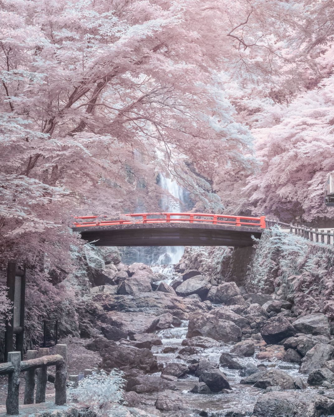 Japan Osaka Minoh Waterfall Full Spectrum Pink Sakura Landscape 