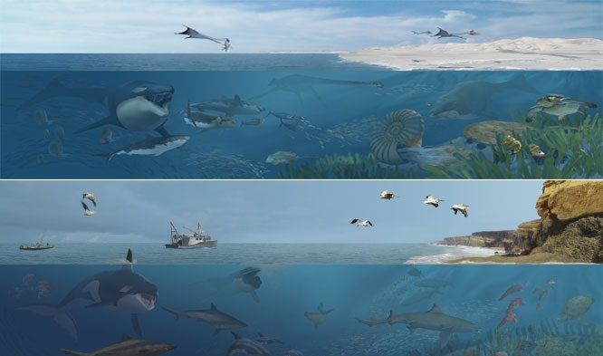 “Sea Monsters Unearthed” will immerse visitors underwater in both Cretaceous (top) and modern (bottom) ocean environments with vivid paleoart of life beneath the waves—courtesy of natural history artist Karen Carr. 