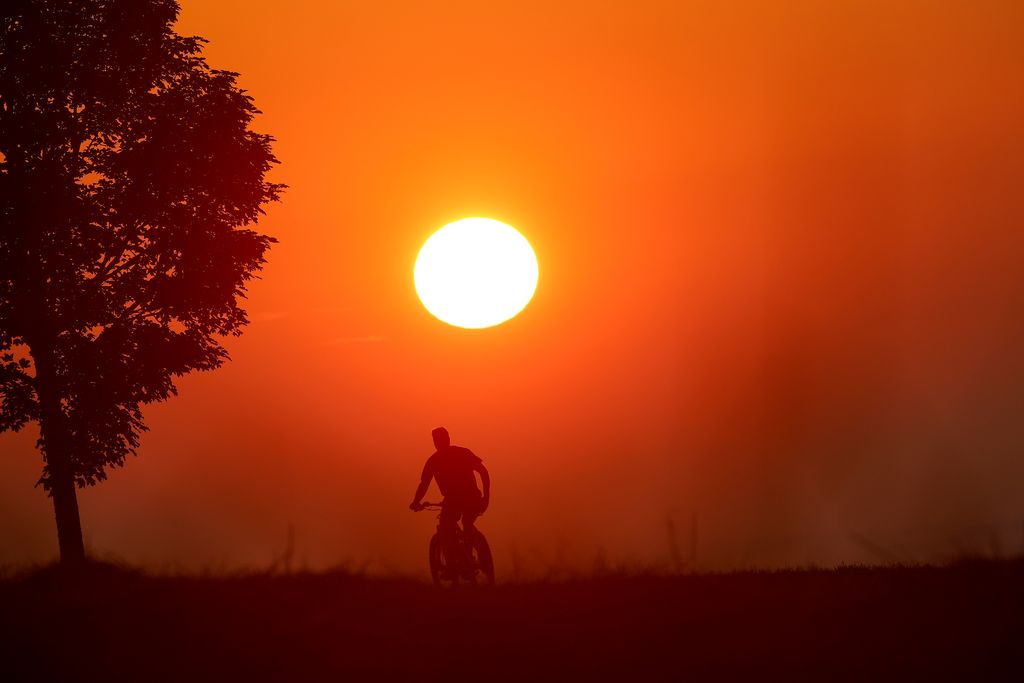A cyclist and a tree are seen faintly through mist, the entire sky is orange and the sun is low in the sky