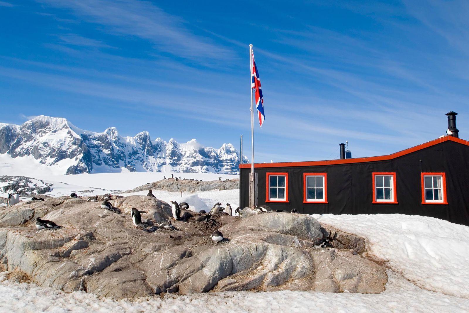 Would You Live in an Antarctic Penguin Post Office? | Smart News|  Smithsonian Magazine