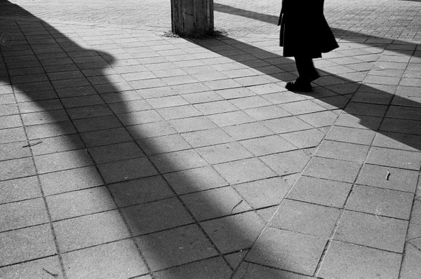 Shadows of the City thumbnail